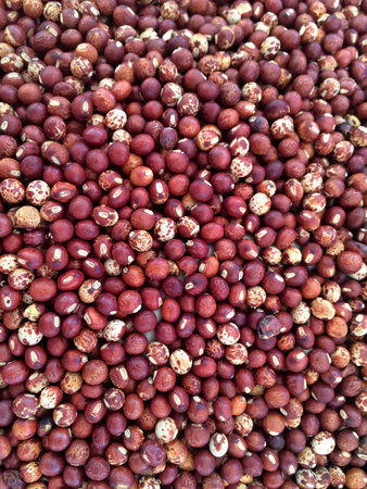 Closeup red pigeonpea backgroundの素材