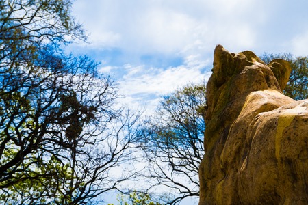 Sabertooth tiger statue in the right of the photo and an amazing sky in La Plata, Buenos Aires.の写真素材
