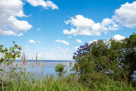 Beautiful blue sky with white clouds and Rio de La Plata horizon with vegetation in the foregroundの写真素材