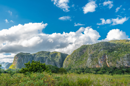 ViÃ±ales valley view in Cuba. Unreal nature with lakes, mountain, trees, wildlife. Gorgeus sky.の写真素材