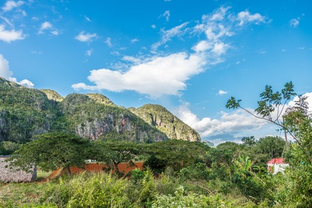 ViÃ±ales valley view in Cuba. Unreal nature with lakes, mountain, trees, wildlife. Gorgeus sky.の写真素材