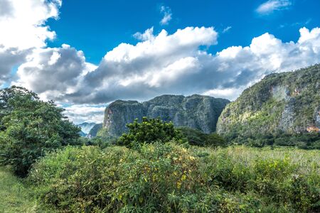 Vi ales valley view in Cuba. Unreal nature wih lakes, mountain, trees, wildlife-の写真素材