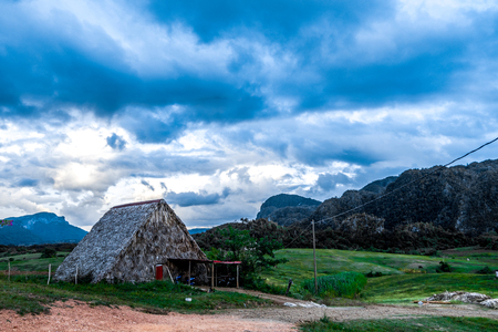Vi ales valley view in Cuba. Unreal nature wih lakes, mountain, trees, wildlife-の写真素材