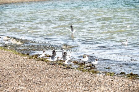 Puerto Madryn beach, sun, waves and sand, beautiful day.の写真素材