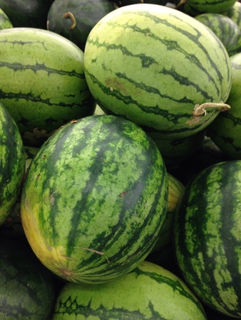 Watermelonの素材