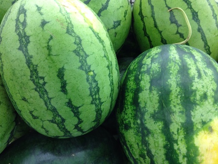 Watermelonの素材