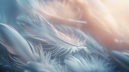 White Feather Background. Peace, Bird, Calm, Wallpaper, Angel, Soft, Gentle, Delicateの素材