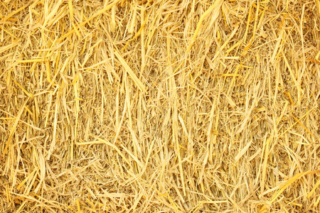 dry grass, hay, straw textured border background vintage styleの写真素材