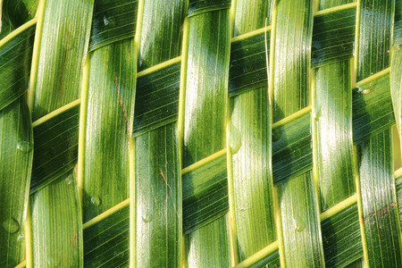 Zigzag interlocking of coconut leaves weaveの写真素材