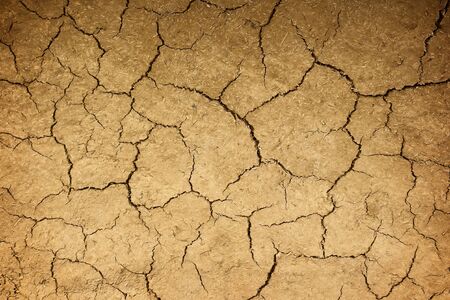 cracked earth