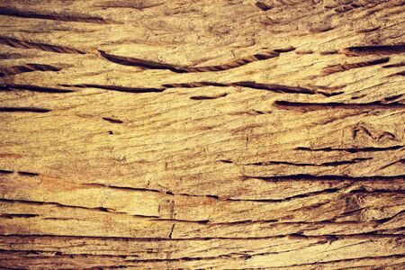 old wood backgroundの写真素材