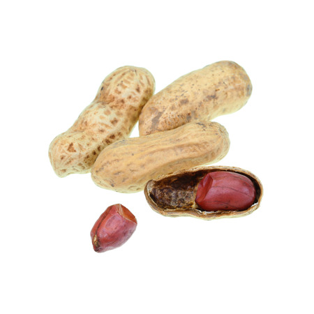 Dried peanuts in closeup