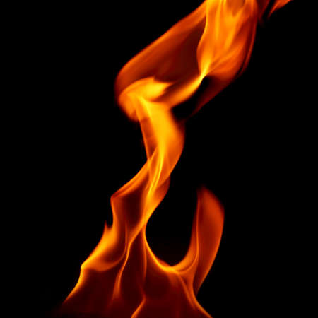 Fire flames on a black background