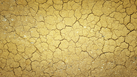 Details of a dried cracked earth soil.の写真素材