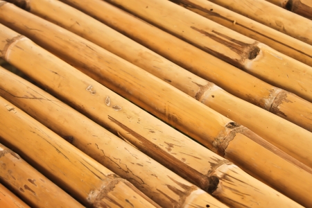 Bamboo textureの写真素材