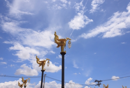 Street light の写真素材