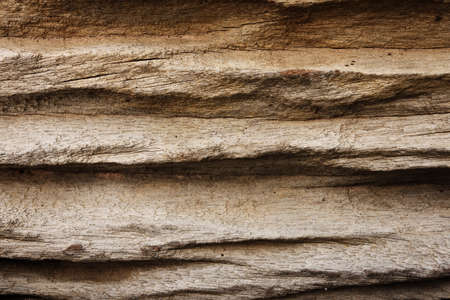 Texture of wood background closeupの写真素材