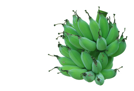 green bananas isolated on white background.の写真素材