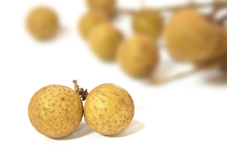 Close up longan fruit against a backgroundの写真素材