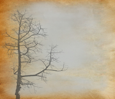 tree with old grunge antique paper textureの写真素材
