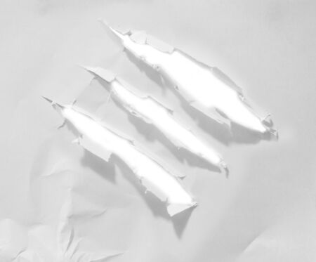 Torn paper, isolated on white background.の写真素材