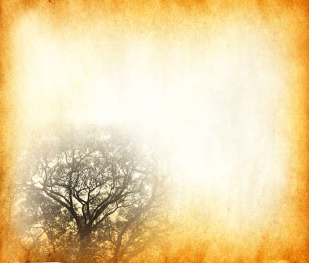 old paper texturesの写真素材