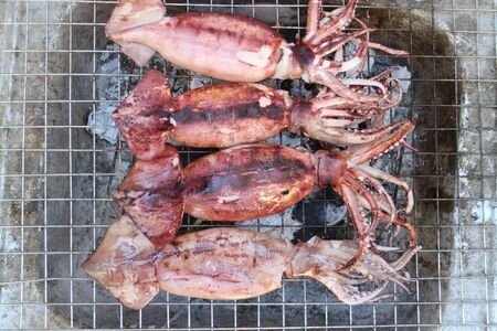 The Grilled squid