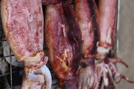 The Grilled squidの写真素材