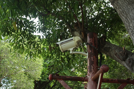 Protect Your Property With CCTV Camera
