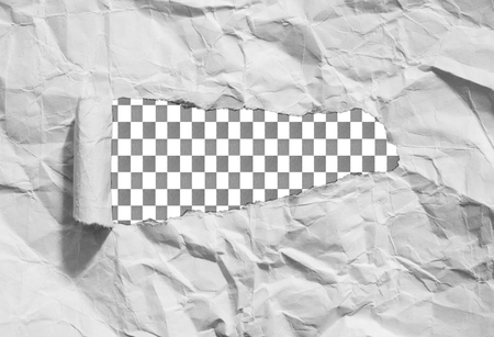 Piece of torn paper, space for copyの写真素材