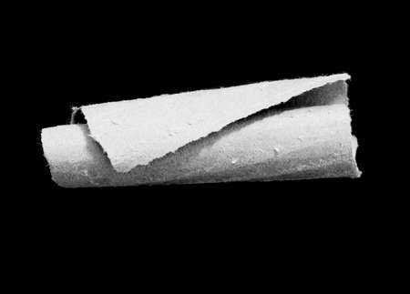 Piece of torn paper, space for copy