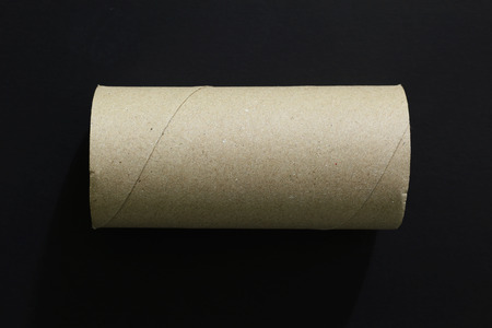 Toilet paper rollの写真素材