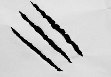 Piece of torn paper, space for copyの写真素材