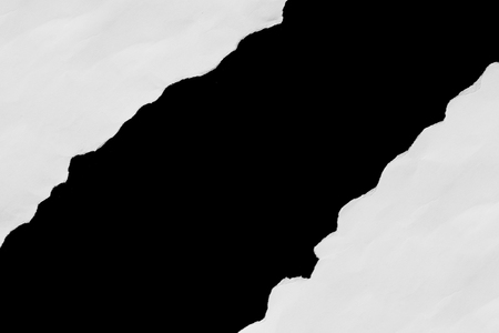 Piece of torn paper, space for copyの写真素材