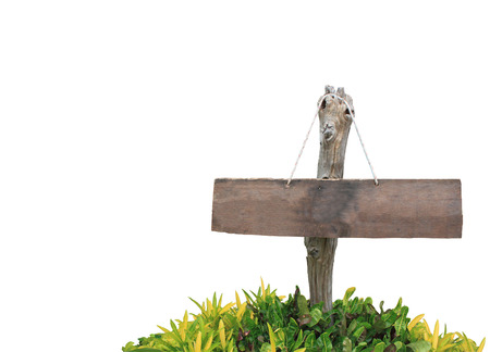 Sign woodの写真素材