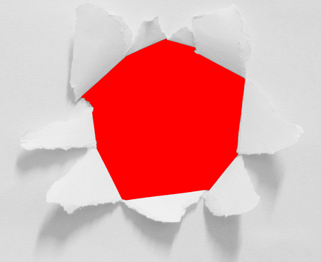 pieces of torn paper texture background, copy space.の写真素材