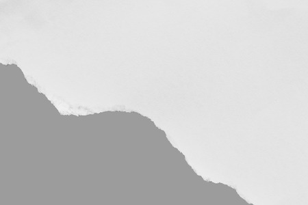 pieces of torn paper texture background, copy space.の写真素材