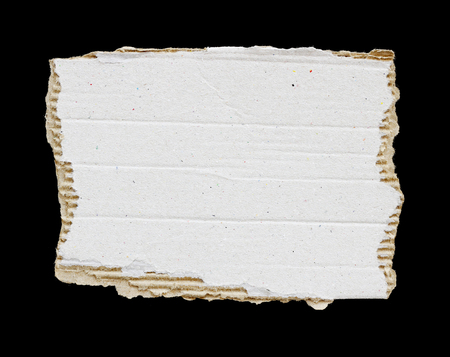 pieces of torn paper texture background, copy space.の写真素材