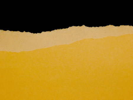 pieces of torn paper texture background, copy space.の写真素材