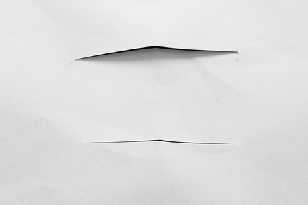 pieces of torn paper texture background, copy space.の写真素材