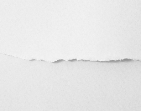 pieces of torn paper texture background, copy space.の写真素材
