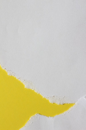 pieces of torn paper texture background, copy space.の写真素材