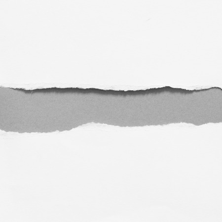 pieces of torn paper texture background, copy space.の写真素材