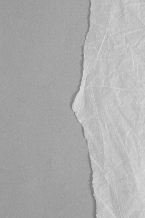 pieces of torn paper texture background, copy space.の写真素材