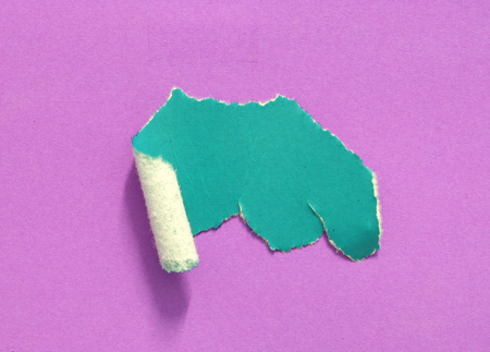 pieces of torn paper texture background, copy space.の写真素材