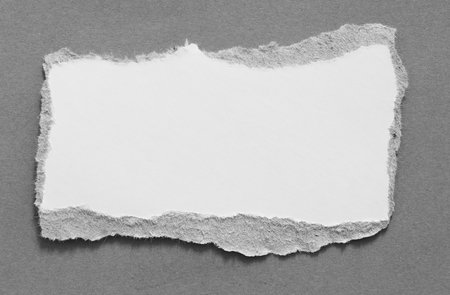 pieces of torn paper texture background, copy space.の写真素材
