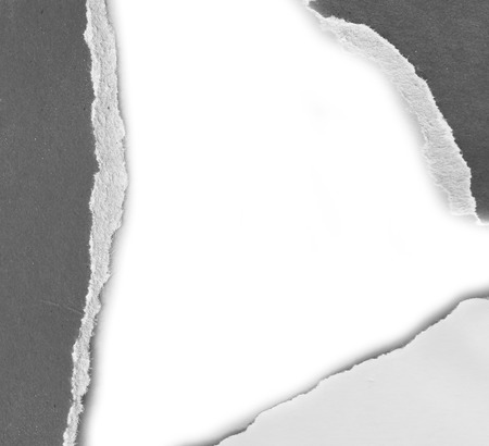 pieces of torn paper texture background, copy space.の写真素材