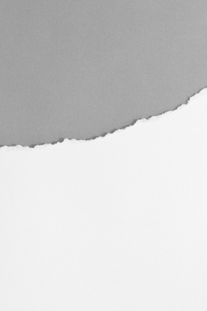 Pieces of paper texture background, copy space.の写真素材