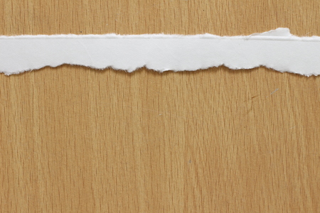 pieces of torn paper texture background, copy space.の写真素材