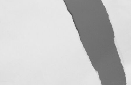 pieces of torn paper texture background, copy space.の写真素材